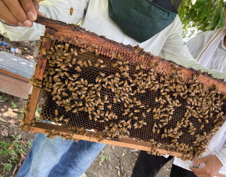 whatsapp image 2025 09 26 at 12.53.56 (2)[1]