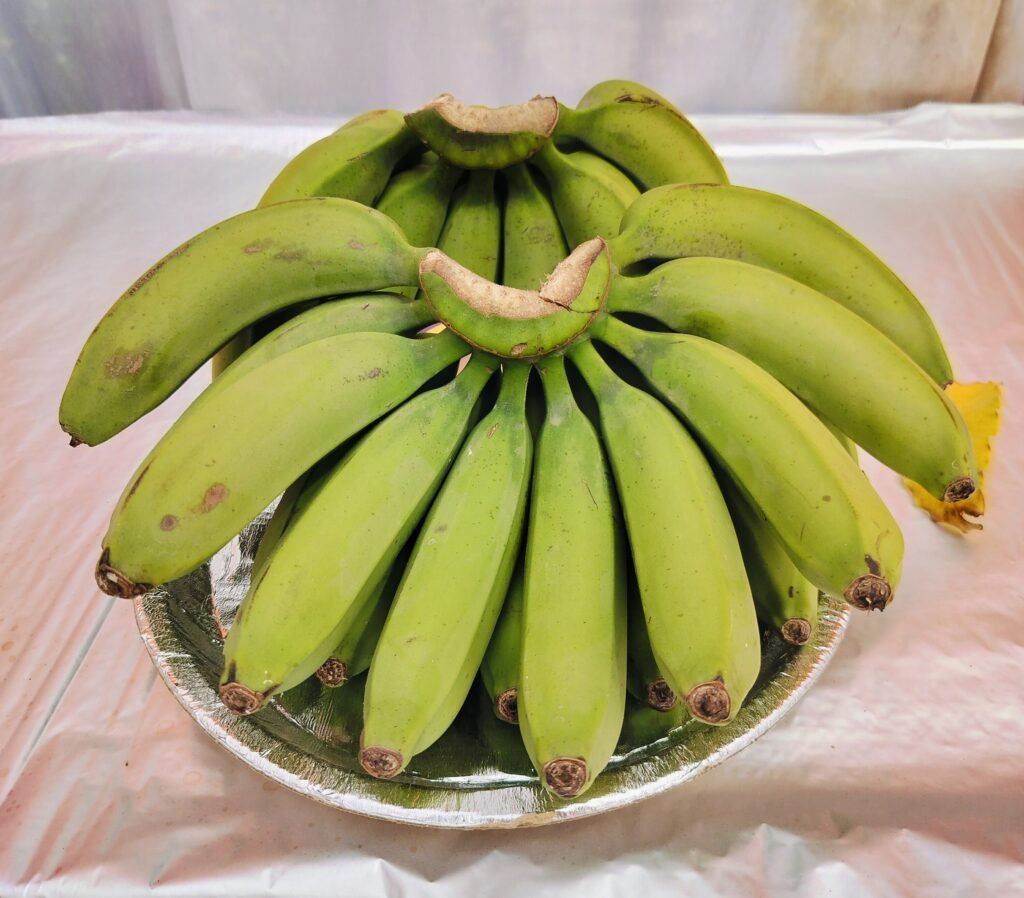 केला की व्यावसायिक खेती: किसानों की तरक्की का सुनहरा जरिया oplus 1056