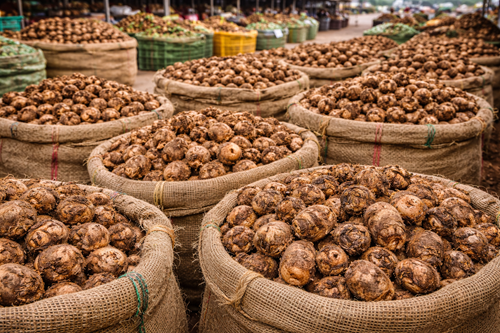 chatgpt image jan 24, 2026, 10 12 13 pm