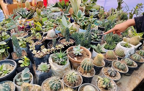 img20250223130707 img20250223130707