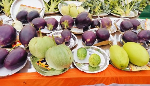 oplus 1024 oplus 1024