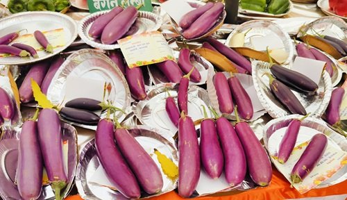 oplus 1024 oplus 1024