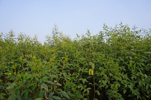 dsc01035